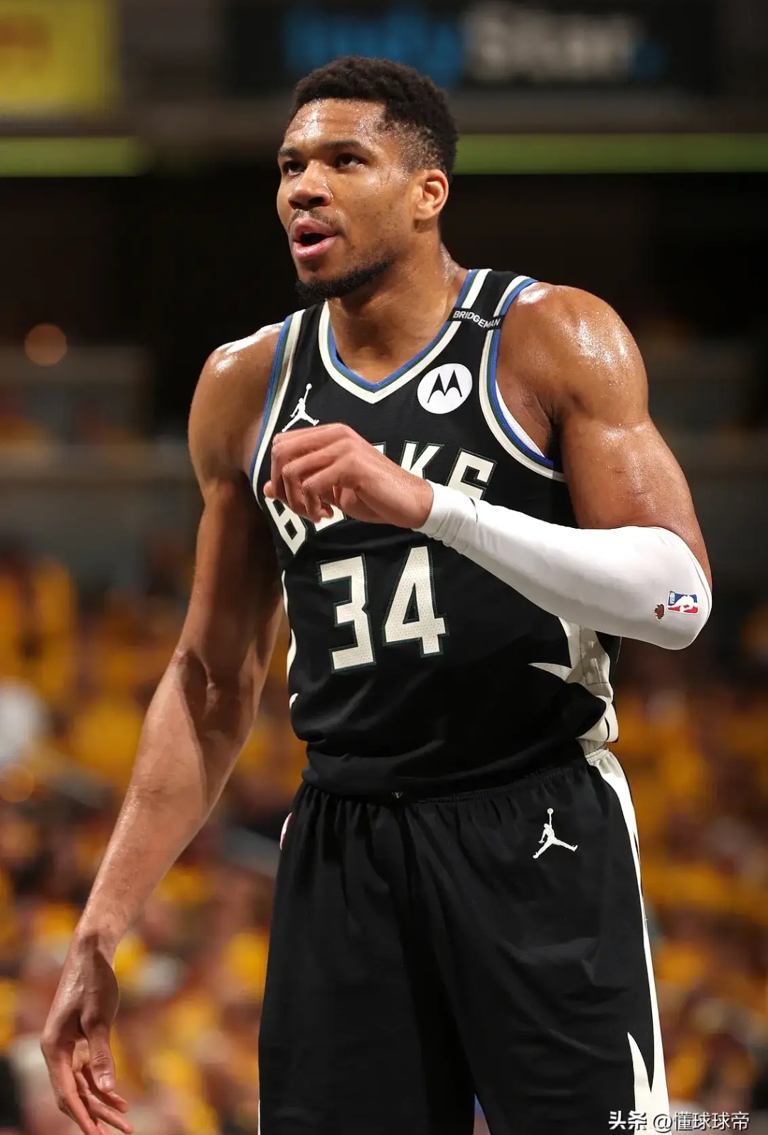 字母哥连续七场比赛得分超过绝杀，TL挑战极限！