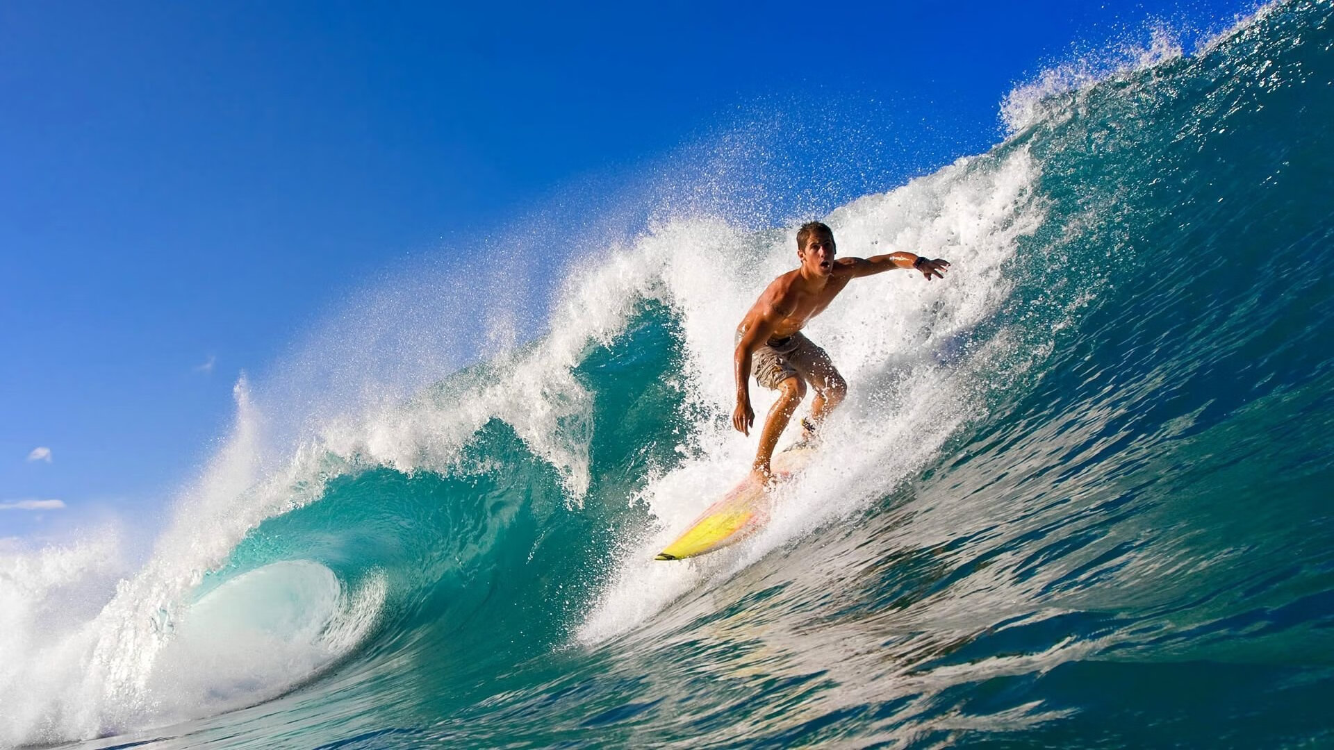 穆古鲁扎新星持续失利表现突出，IG前途光明！引发球迷热议